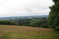 IMG_1442