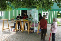 IMG_1459