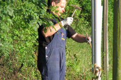 IMG_3306